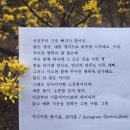 좋은하루 이미지