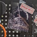 틸라 지하(THILA JIHA) | 틸라 《SHADOWS 쉐도우즈》넬 미디어아트 전시회