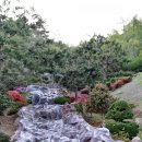 숲쟁이꽃동산 이미지