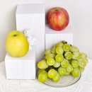 비어몰박스 이미지