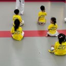 경희대 에이스태권도 이미지