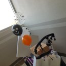 키즈위드맘 이미지