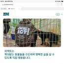 도살 사건 및 동물학대