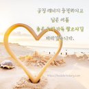벨로체 이미지