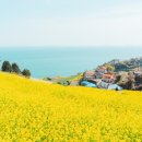 다랭이마을 이미지