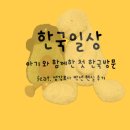 11650-16-178-1 | 뉴욕→인천 대한항공 A380 비즈니스 탑승기 (아기 동반 16시간 현실 후기)