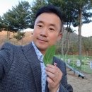 평창해피몰 이미지