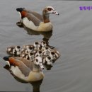 거창효노인복지센터 | {부천, 주간보호센터, 추천!} 힐링데이케어센터 부천 힐링데이케어센터, 노인복지 전문기관