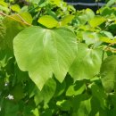 춘호농장 이미지