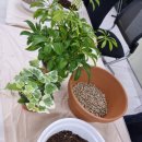 아산시중독관리통합지원센터 이미지