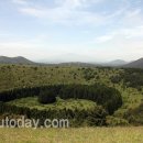 팀에이치 이미지