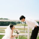 목장이야기 | 경기 원당종마목장 웨딩스냅 촬영 후기 | 서울 근교 웨딩촬영 장소추천