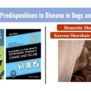 헤어박사 이미지