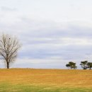 신종목장 이미지