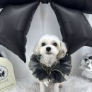 네임드 살롱 이미지