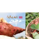 태안농산영농조합법인