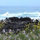 새들목장 이미지