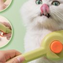 젤리그루밍 이미지