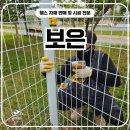 보은 | 보은휀스 펜스 - 보은울타리 설치 후기, 시설물 지키는 확실한 방법
