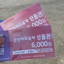 069.둔치주차장_2 | 광양 매화축제 개화율 3월13일 기준 + 유모차 현실 후기 (둔치주차장 정보)