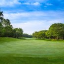 초이스골프연습장 이미지