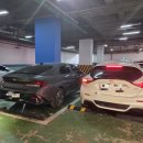 신금호역(5) | 금호동 빵집 추천 티거베이크 서울 신금호역 맛집 빵 포장 내돈내산 솔직후기