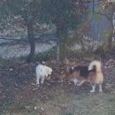 소리야네집 이미지