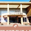 대전선사박물관 이미지