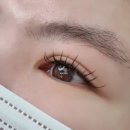 비비래쉬 이미지