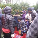 김필환 농장 이미지