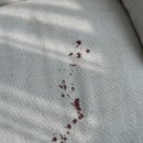 해모로세탁 이미지