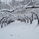 천만농장2 이미지