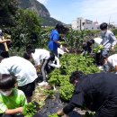 사계초등학교 이미지