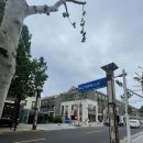 선경농장 | 신선이 사는 바다 마을, 펑라이 1-1 펑라이각(봉래각)부터 노북산까지