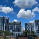 K행정사 이미지