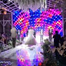 종구축사 | 결혼식 디데이ღ ღ /결혼식후기/대구결혼식/노비아갈라