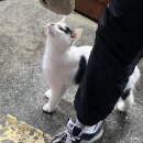 세븐일레븐 강릉성산점 이미지