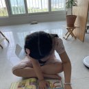 하비함미 이미지