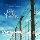 복수농장 | 영화 줄무늬 파자마를 입은 소년 리뷰 후기ㅣ순수함이 만든 가장 잔인한 비극
