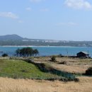 비양도 봄날 민박 이미지