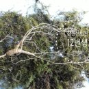 강원산림원 이미지