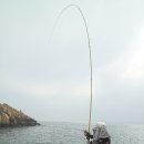 낚시군단