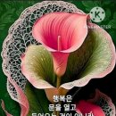 행운18 이미지