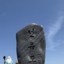 스테이포레스트 이미지