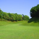 CLUB S 골프클럽 이미지