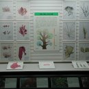 충남대학교 자연사박물관 이미지