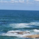 속초바다야 이미지