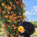 사자후 태권도 | 뭐라도 쓰기