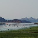 소안면-1 이미지