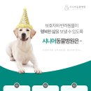 신반포동물병원 이미지